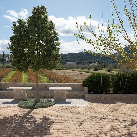 Traditional Guest House Grandma Vitsa In Ermioni Bagian luar foto