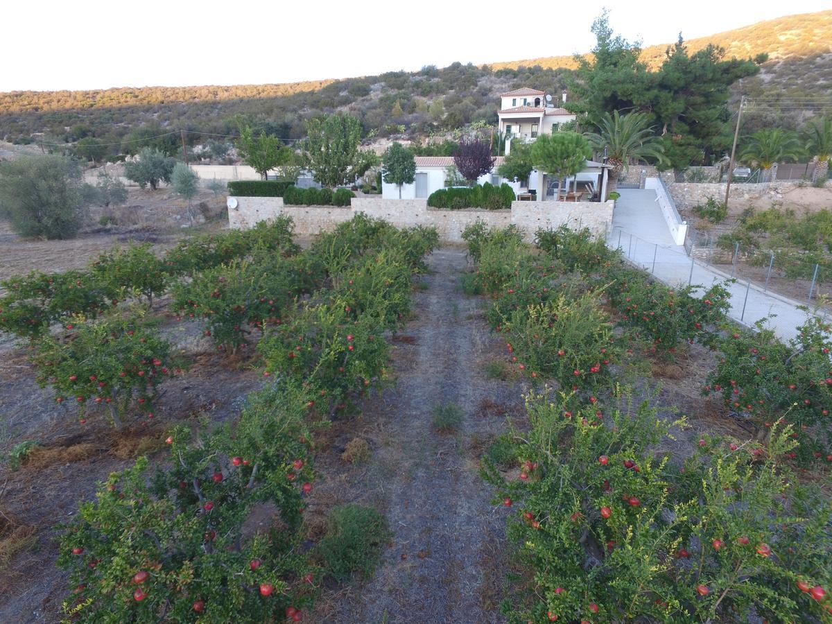 Traditional Guest House Grandma Vitsa In Ermioni Bagian luar foto
